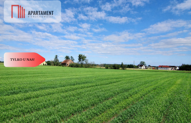 Osetno. 9 działek budowlanych blisko jeziora i las
