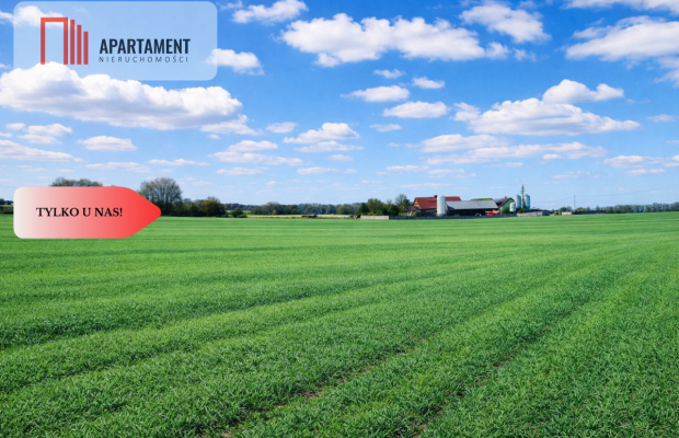 Osetno. 9 działek budowlanych blisko jeziora i las