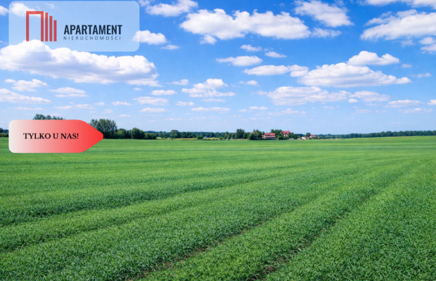 Osetno. 9 działek budowlanych blisko jeziora i las