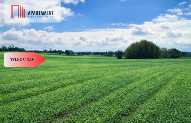 Osetno. 9 działek budowlanych blisko jeziora i las