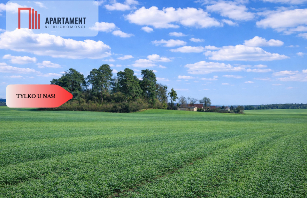 Osetno. 9 działek budowlanych blisko jeziora i las