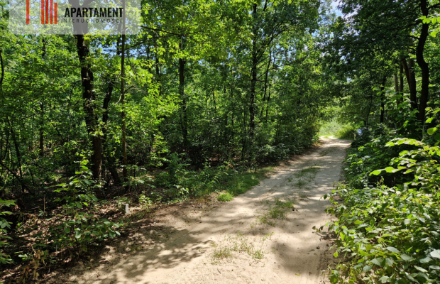 Działki w lesie blisko jeziora i plaży