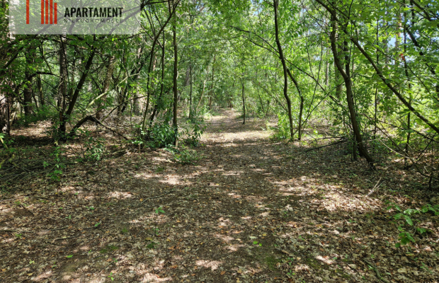 Działki w lesie blisko jeziora i plaży