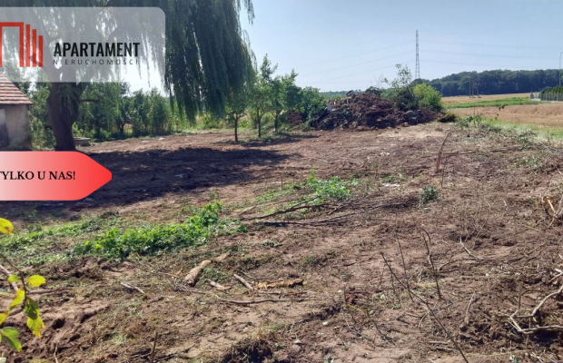 Dom do  remontu na działce 18a blisko lasu!