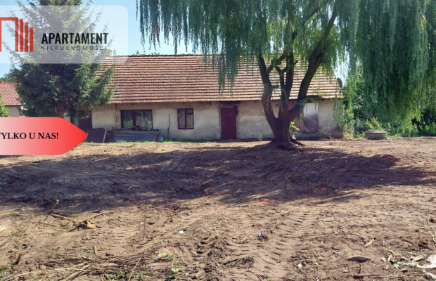 Dom do  remontu na działce 18a blisko lasu!