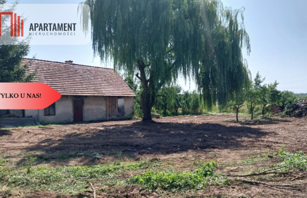 Dom do  remontu na działce 18a blisko lasu!