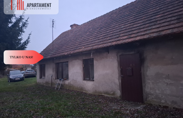 Dom do  remontu na działce 18a blisko lasu!