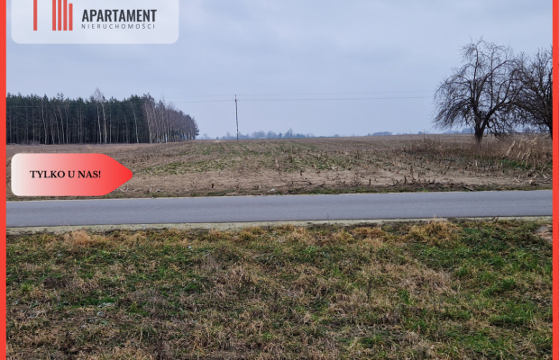 Działka budowlana blisko dużego lasu