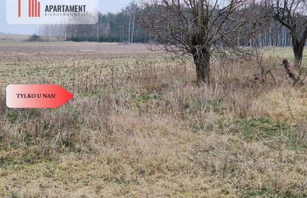 Działka budowlana blisko dużego lasu