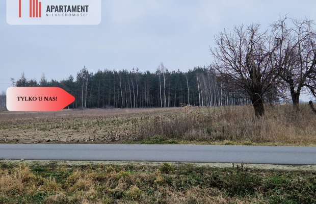 Działka budowlana blisko dużego lasu