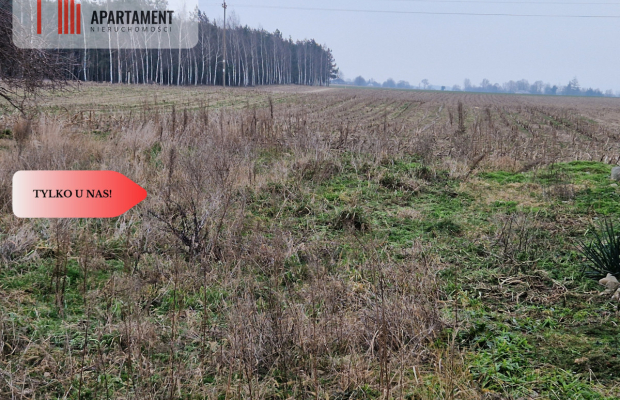 Działka budowlana blisko dużego lasu