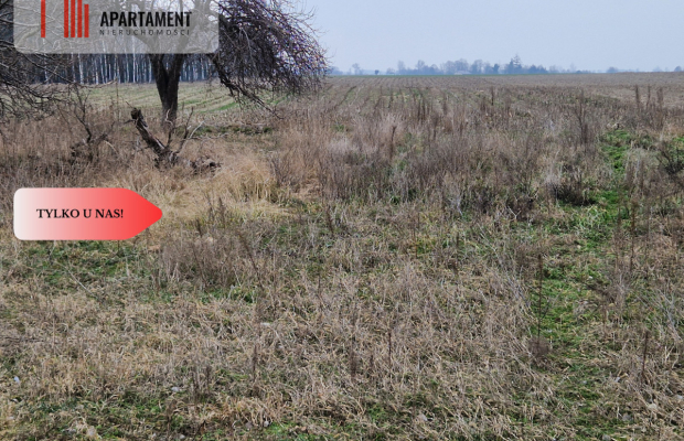 Działka budowlana blisko dużego lasu