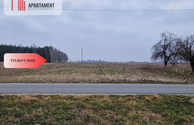 Działka budowlana blisko dużego lasu