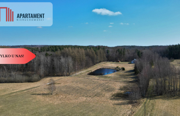 Pomlewo, twoja wymarzona przestrzeń na dom