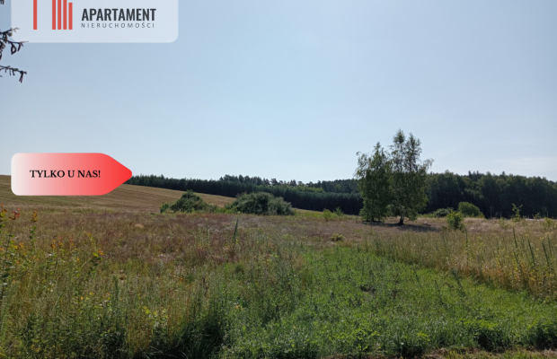 Sprzedam działki budowlane w Mieliczkach