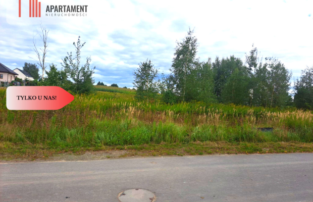 Działka MPZP/media/w okolicy lasu...