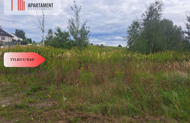 Działka MPZP/media/w okolicy lasu...