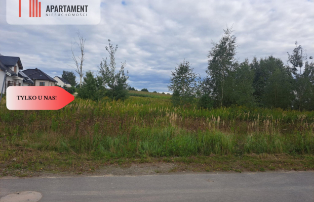 Działka MPZP/media/w okolicy lasu...