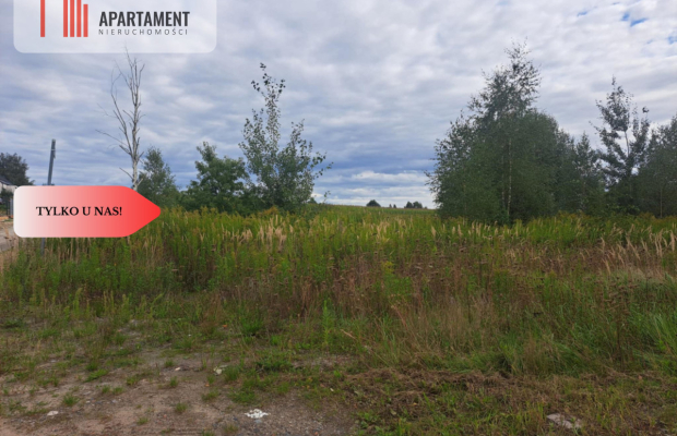 Działka MPZP/media/w okolicy lasu...