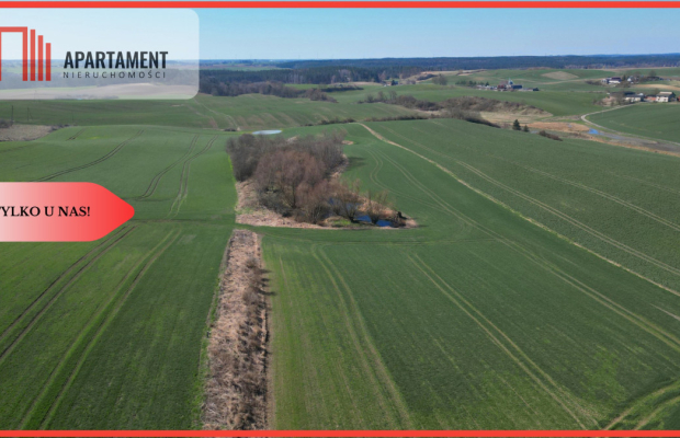 siedlisko koło Gniewu, nowa cena