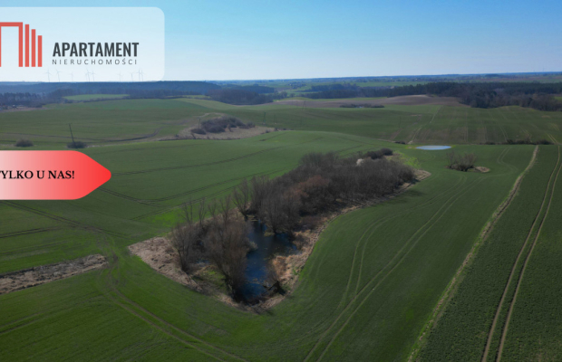 siedlisko koło Gniewu, nowa cena