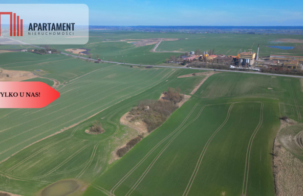 siedlisko koło Gniewu, nowa cena