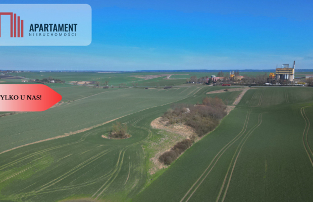 siedlisko koło Gniewu, nowa cena