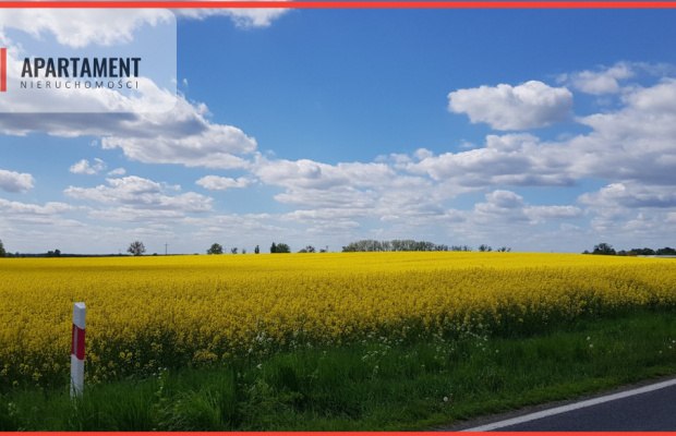 Działka - możliwość podziału! Bory Tucholskie!