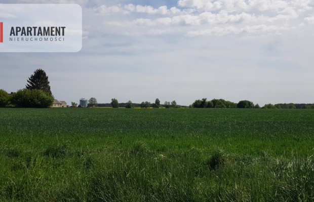 Działka - możliwość podziału! Bory Tucholskie!