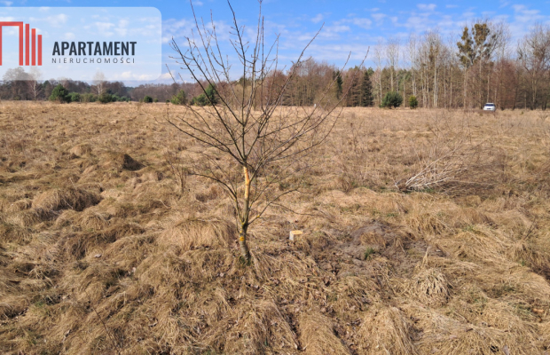 Działka 1170 m² w Jaraczu –  Blisko Natury