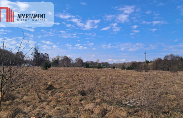 Działka 1170 m² w Jaraczu –  Blisko Natury