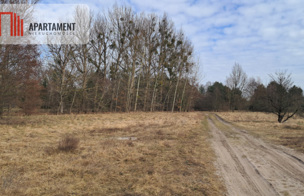 Działka 1170 m² w Jaraczu –  Blisko Natury