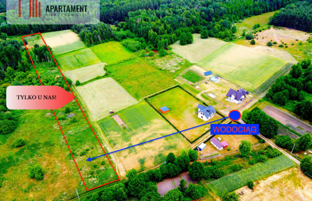 Dla Dewelopera! Działka przy lesie k Trzebnicy!