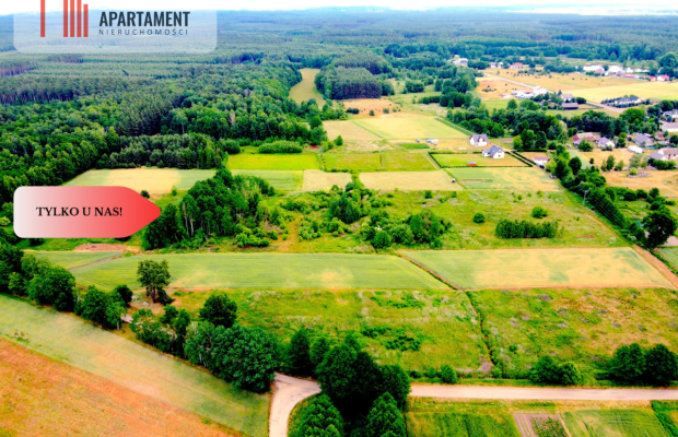 Dla Dewelopera! Działka przy lesie k Trzebnicy!