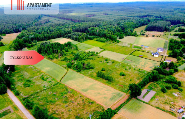 Dla Dewelopera! Działka przy lesie k Trzebnicy!