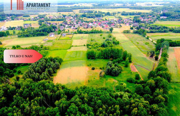 Dla Dewelopera! Działka przy lesie k Trzebnicy!