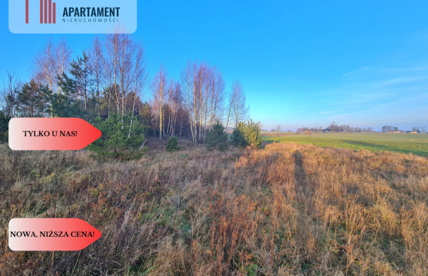 Działka budowlana przy drodze krajowej nr 20!!