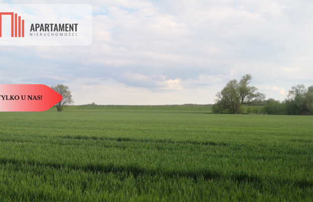 Uzbrojona działka 1680 mkw. Bory Tucholskie