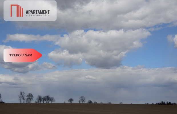 Uzbrojona działka 1680 mkw. Bory Tucholskie