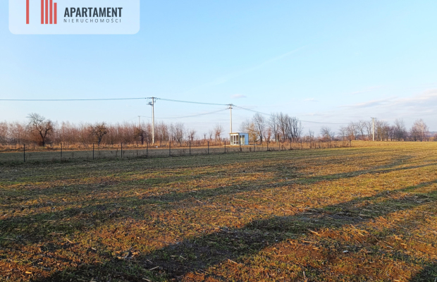 Duża działka budowlana na wsi.