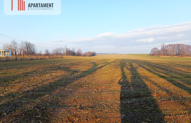 Duża działka budowlana na wsi.