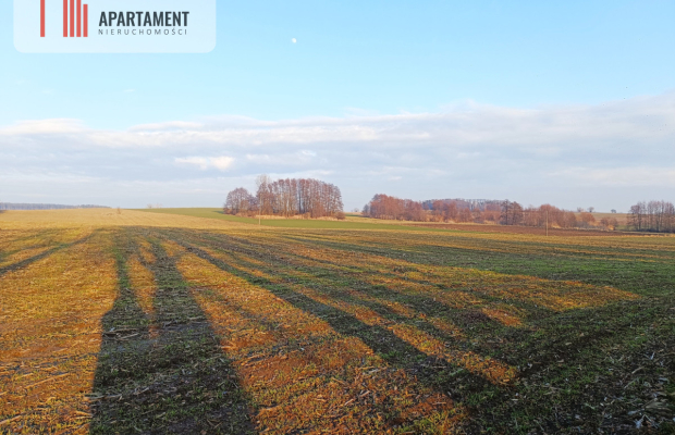 Duża działka budowlana na wsi.
