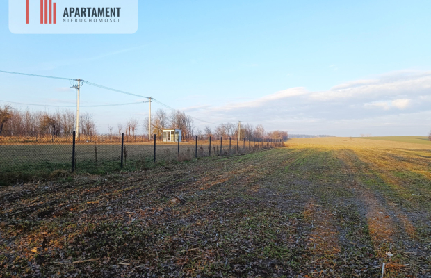 Duża działka budowlana na wsi.