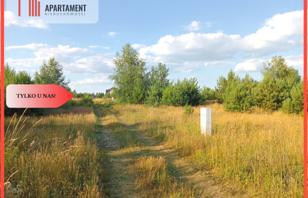 Stronno 1002 m2 w spokojnej cichej okolicy