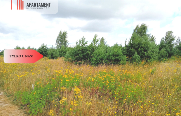 Stronno 1002 m2 w spokojnej cichej okolicy