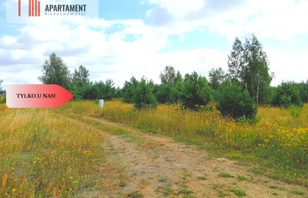 Stronno 1002 m2 w spokojnej cichej okolicy