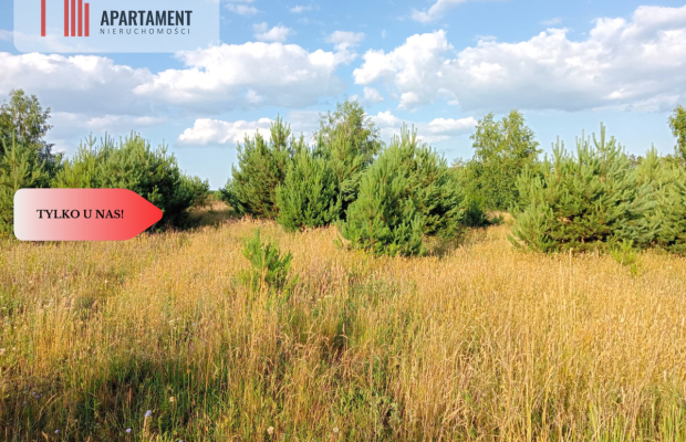 Stronno 1002 m2 w spokojnej cichej okolicy