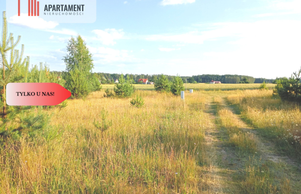 Stronno 1002 m2 w spokojnej cichej okolicy