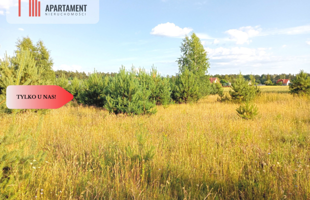 Stronno 1002 m2 w spokojnej cichej okolicy