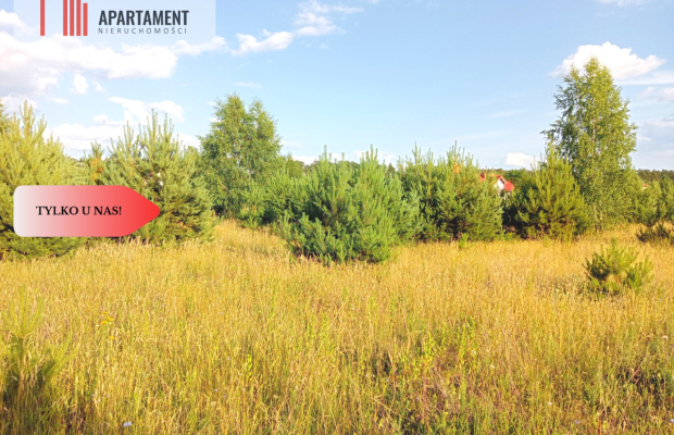 Stronno 1002 m2 w spokojnej cichej okolicy